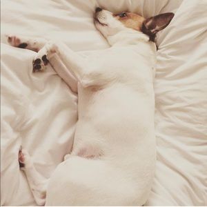 Meet your Posher, Brandi